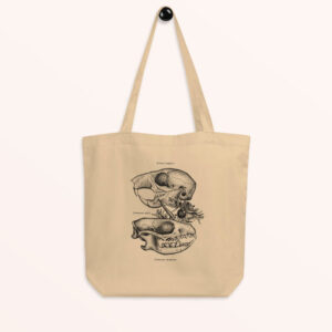 Bolsa Cráneos de Ardilla y Erizo